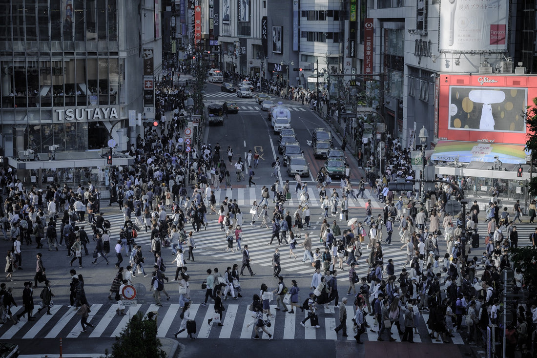 Discovering Shibuya: A Tourist's Guide to Tokyo's Vibrant Heart